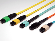 የፕሮግራሞች ፦